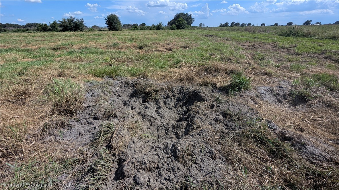 Klein Road Zolfo Springs, FL 33890 - Photo 24 of 25 Gallery Image 24