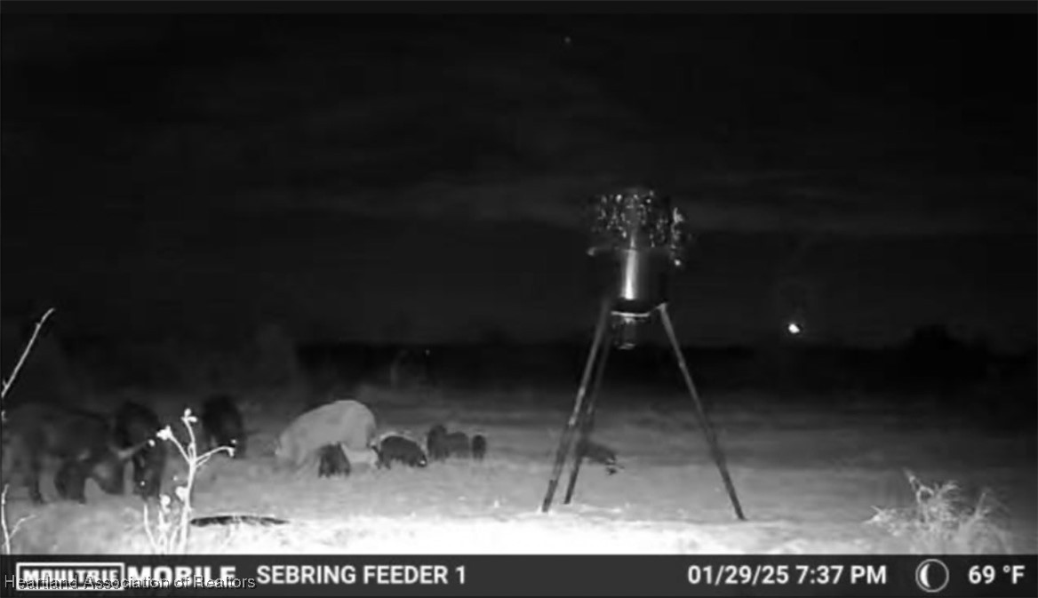 Klein Road Zolfo Springs, FL 33890 - Photo 3 of 25 Gallery Image 3