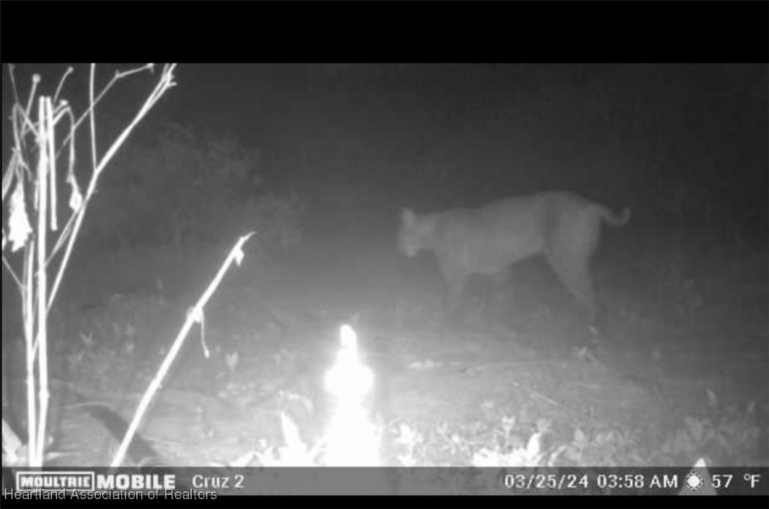 Klein Road Zolfo Springs, FL 33890 - Photo 5 of 25 Gallery Image 5