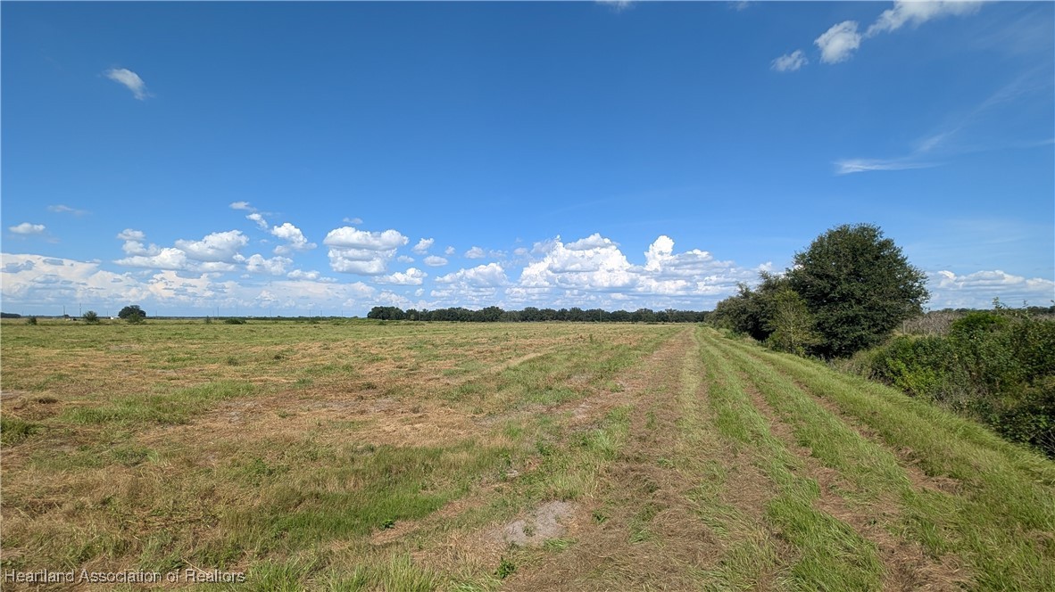 Klein Road Zolfo Springs, FL 33890 - Photo 8 of 25 Gallery Image 8