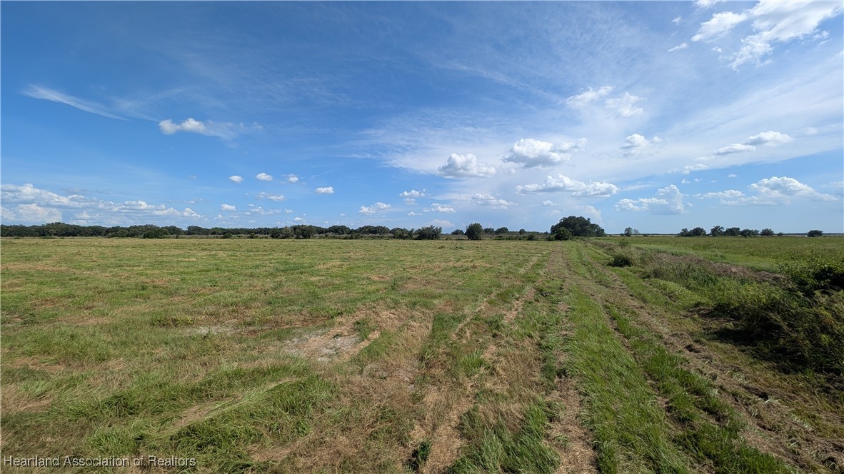 Klein Road Zolfo Springs, FL 33890 - Photo 10 of 25 Gallery Image 10