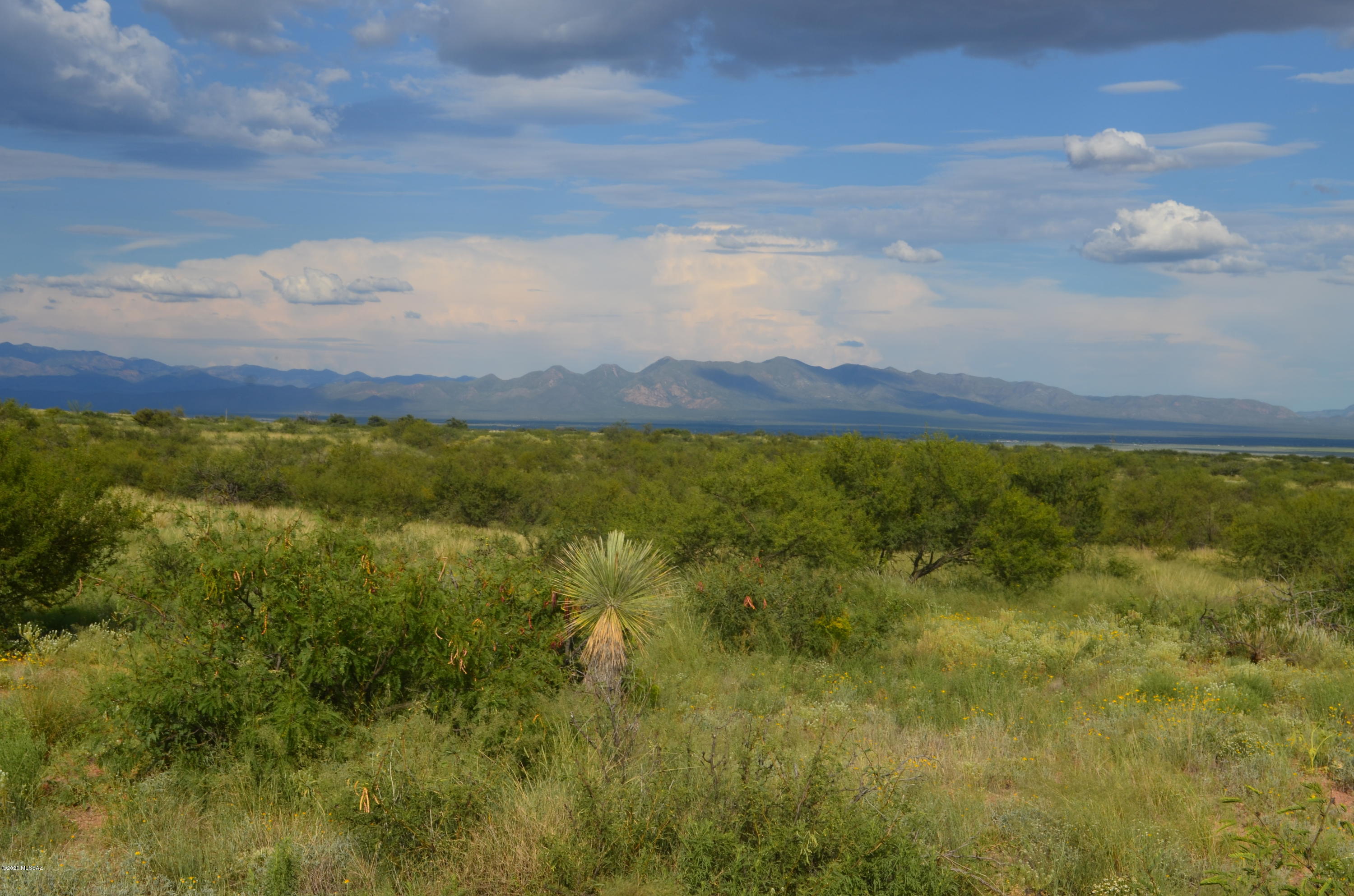 10367 North High Lonesome Road, Unit 79 Elfrida, AZ 85610 - Photo 8 of 16