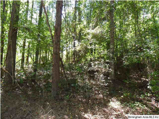 122 Shelby Motel Road Shelby, AL 35143 - Photo 3 of 3