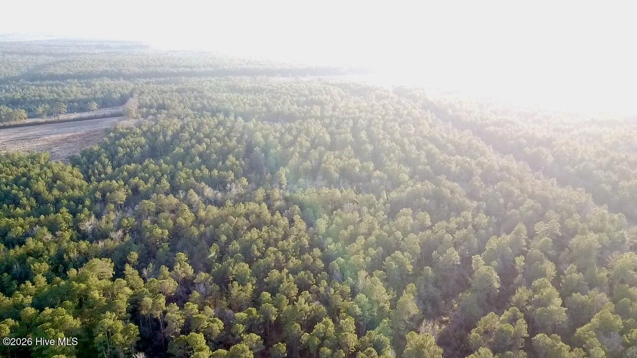 0 Rogers Mill Road Rose Hill, NC 28458 - Photo 31 of 62 2025-12-24-16-24-44-672