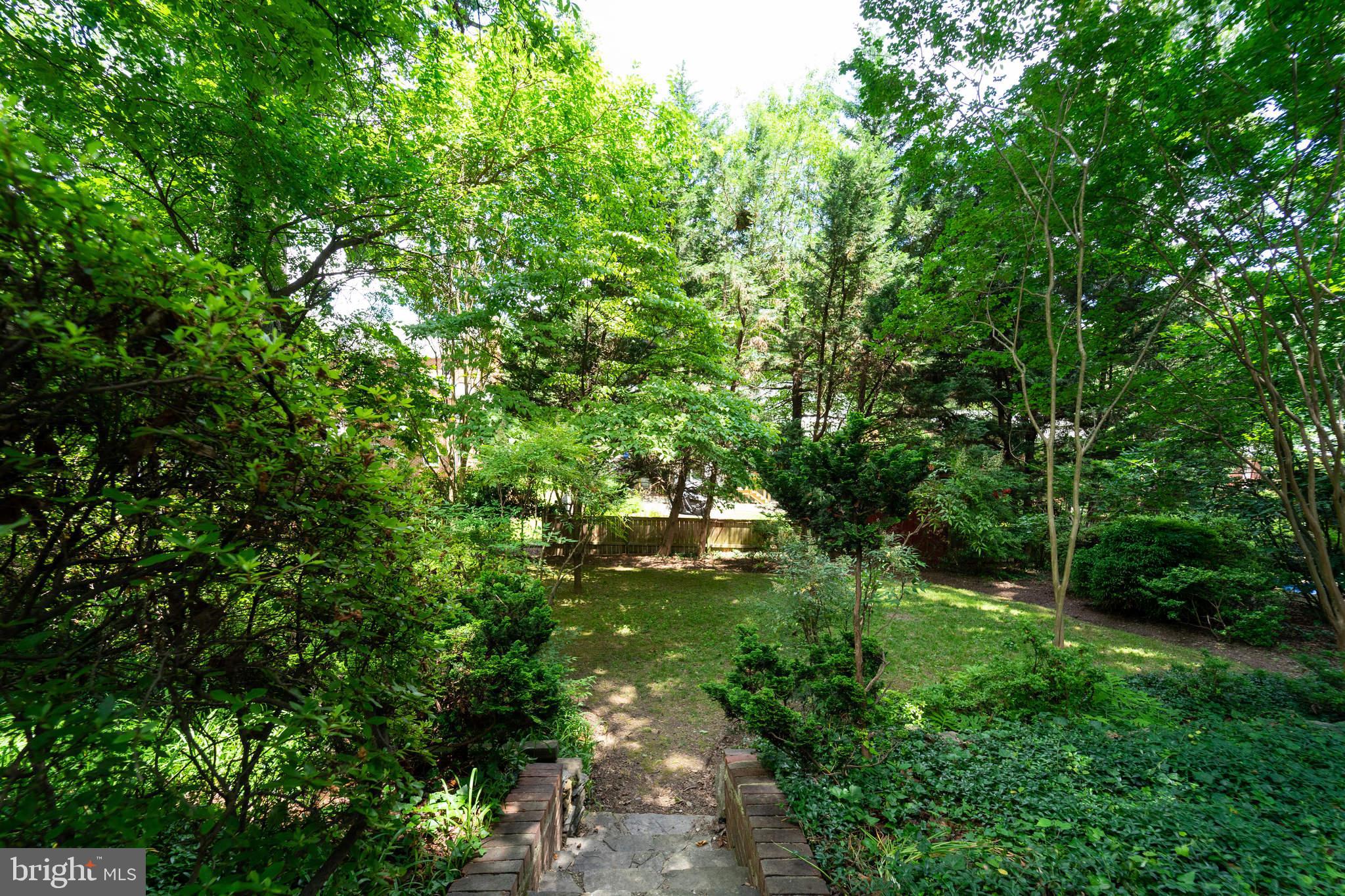 8907 Sudbury Road Silver Spring, MD 20901 - Photo 27 of 29 Backyard view from the patio