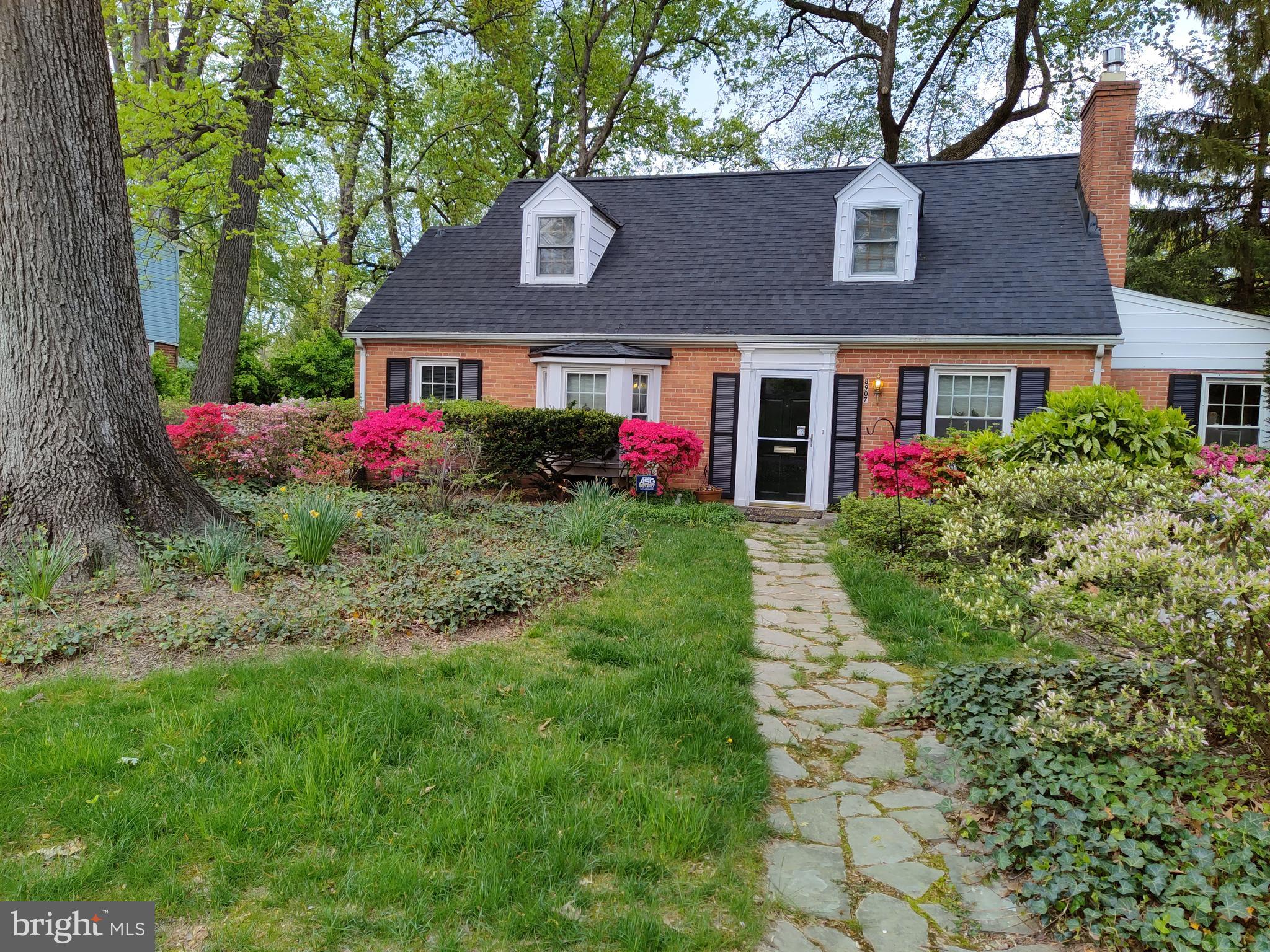 8907 Sudbury Road Silver Spring, MD 20901 - Photo 29 of 29 Springtime on Sudbury Road