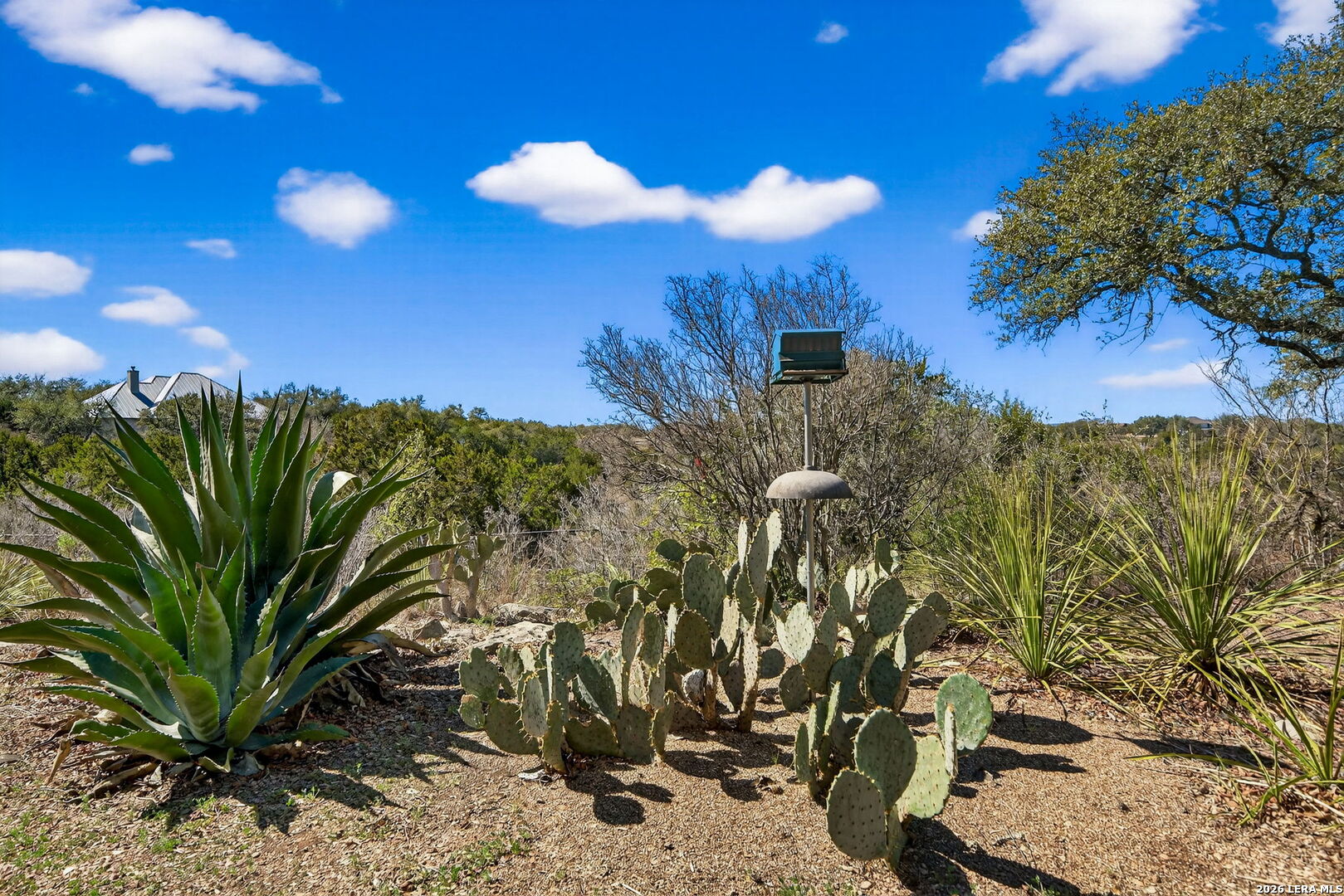 1017 Star Ridge Spring Branch, TX 78070 - Photo 30 of 44