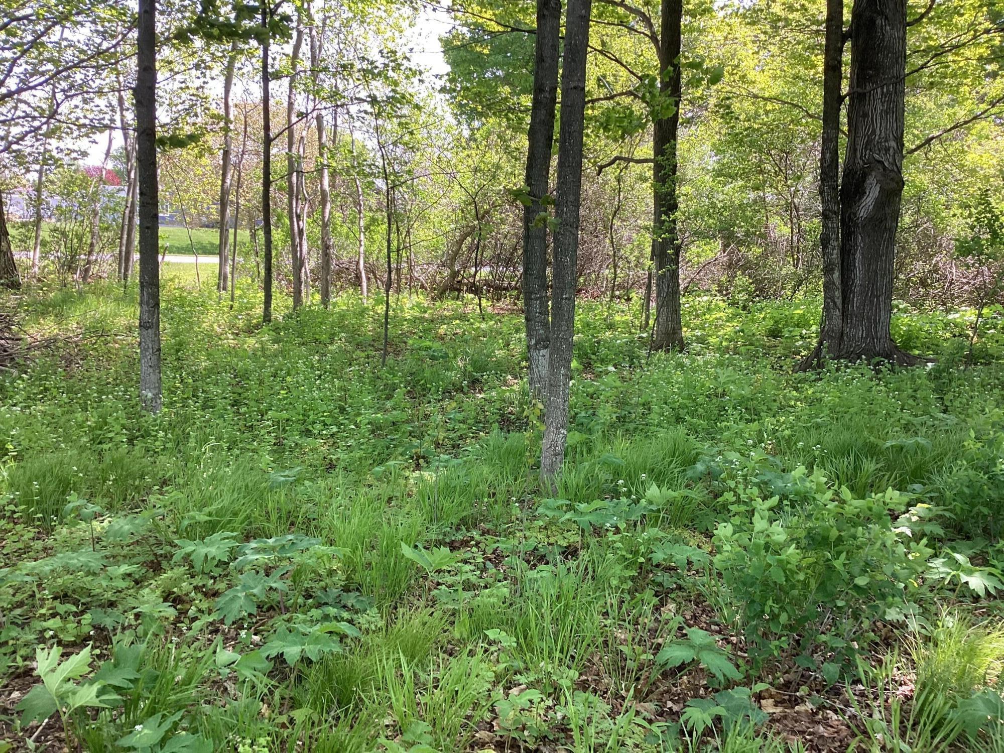 0 3rd Street, Unit LOT 33 Arcadia, MI 49613 - Photo 8 of 12 IMG-2448
