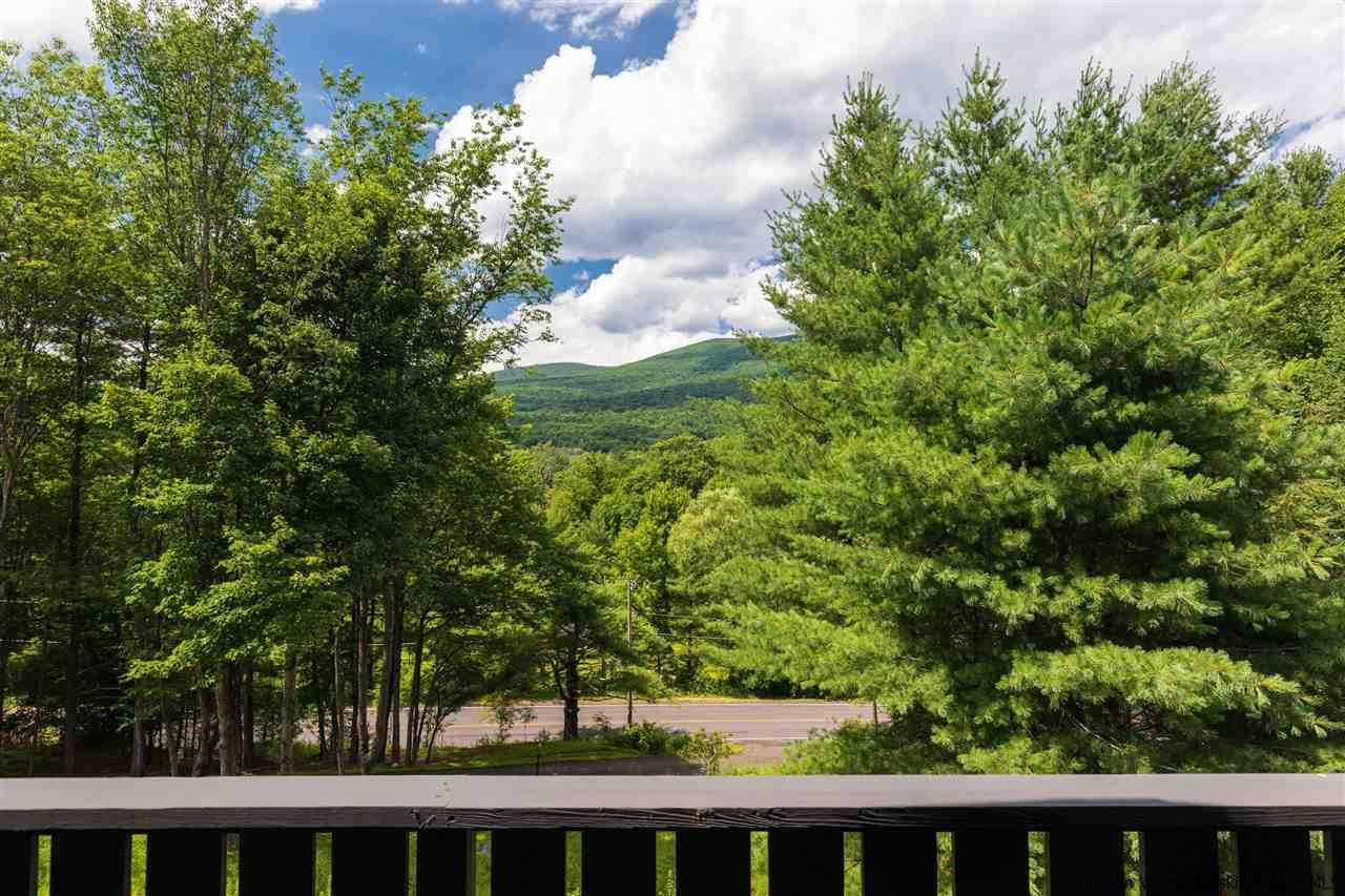 1882 County Road Olivebridge, NY 12461 - Photo 3 of 35 a view of balcony with a garden