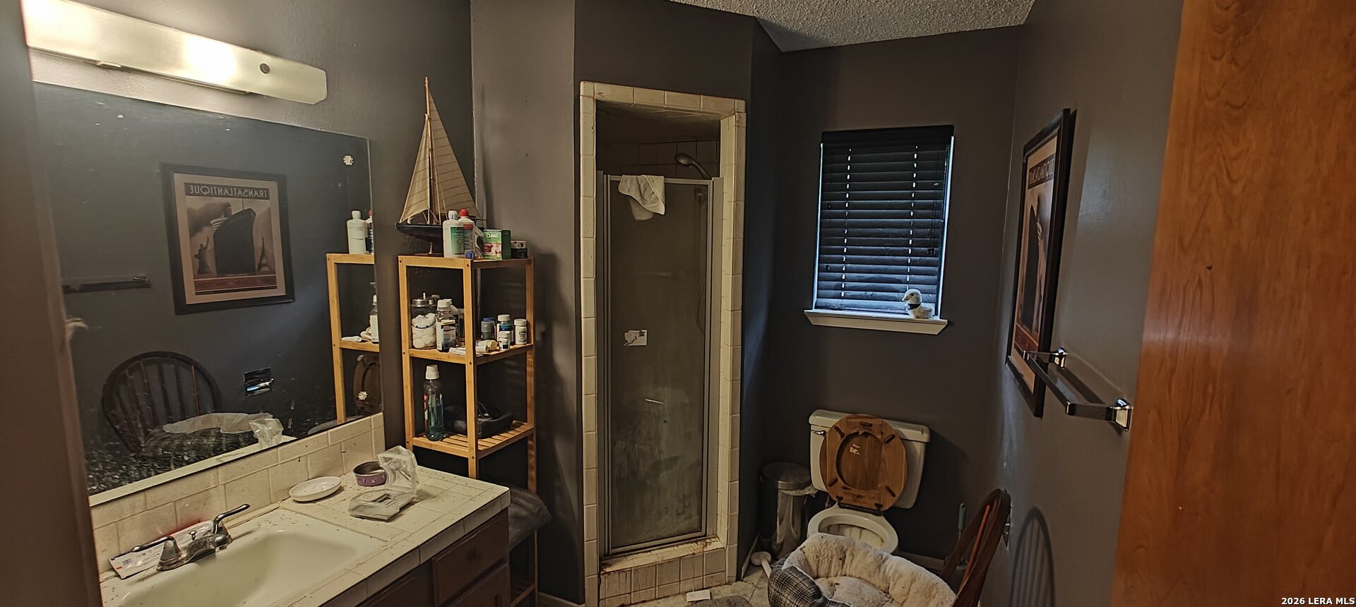 807 Elizabeth Seguin, TX 78155 - Photo 6 of 14