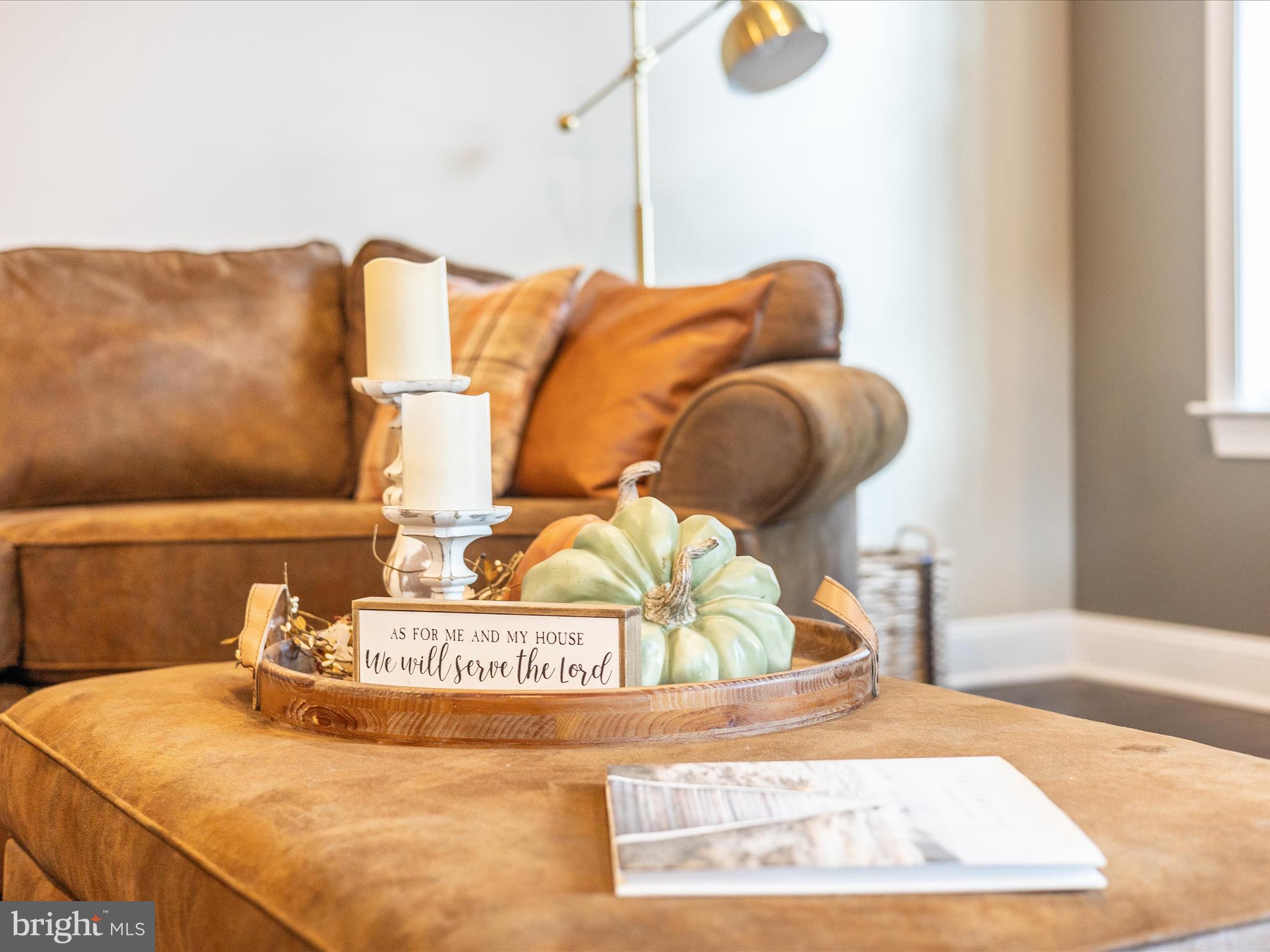 7788 Old Receiver Road Frederick, MD 21702 - Photo 13 of 75 Living Room Detail