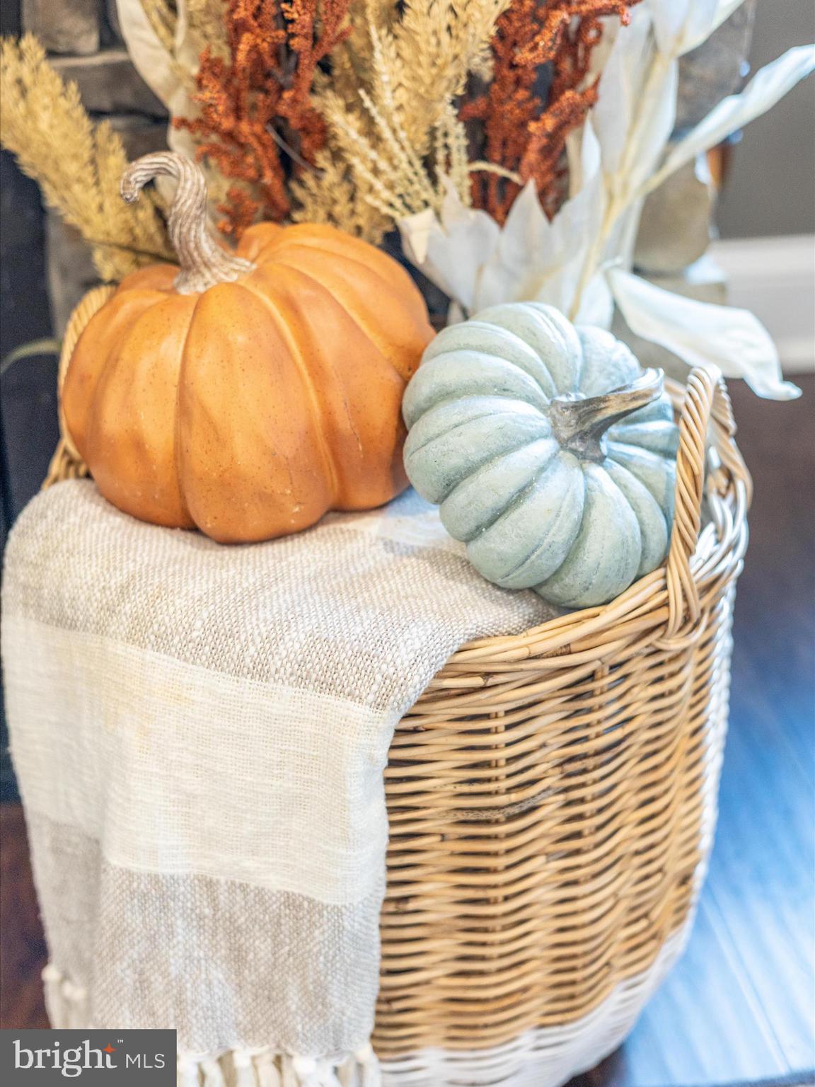 7788 Old Receiver Road Frederick, MD 21702 - Photo 14 of 75 Living Room Detail