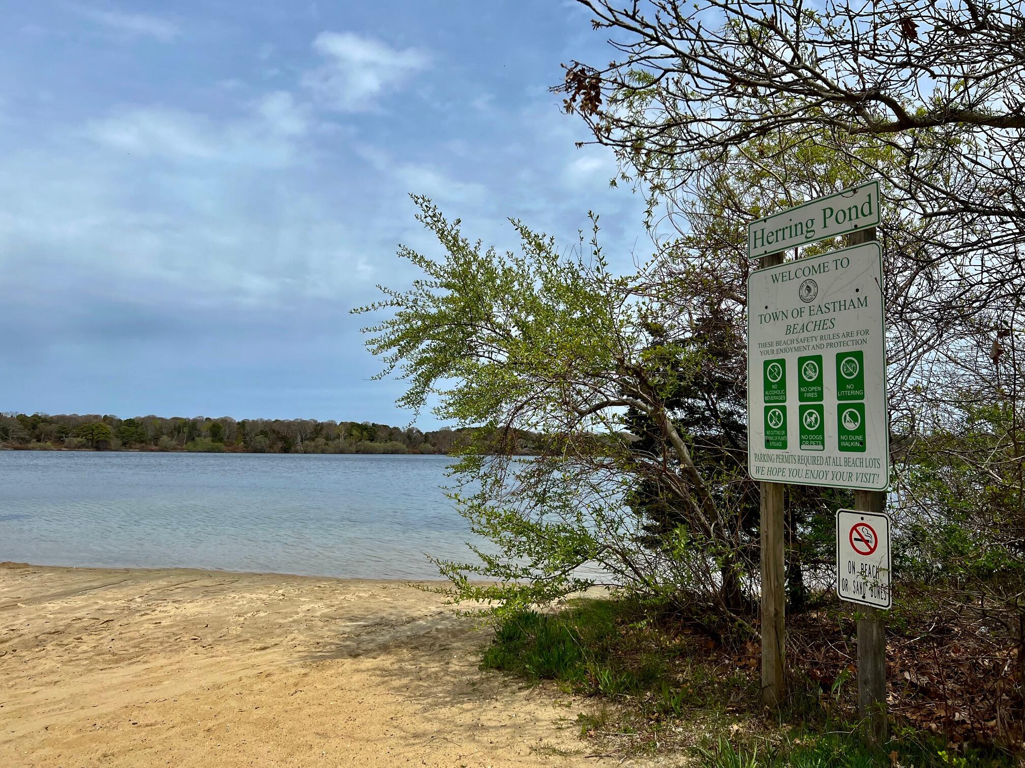 150 Herring Brook Road Eastham, MA 02642 - Photo 50 of 54 a view of ocean with a house in background