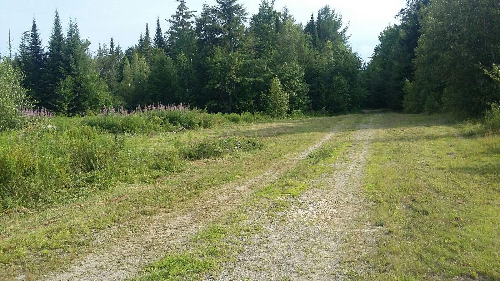 Tbd West Tbd W Indian Road Lincoln, ME 04457 - Photo 18 of 18 IMG_4451