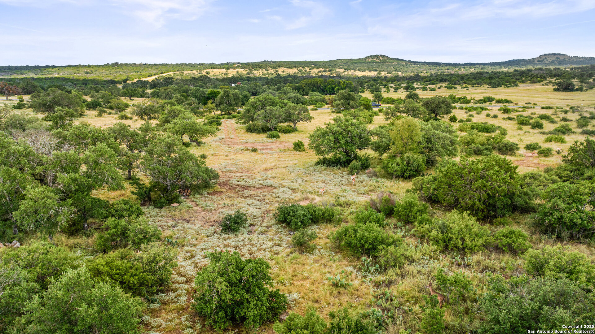 Lot 37 Vista Ridge Round Mountain, TX 78663 - Photo 10 of 31 Gallery Image 10