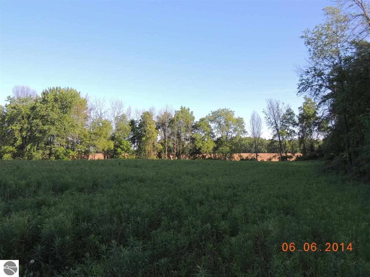 3070 South Warner Road Middleton, MI 48856 - Photo 20 of 36 1785781-19.JPG