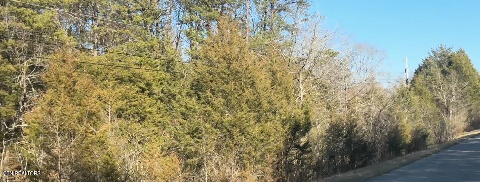 0 Alex Bales Road Kodak, TN 37764 - Photo 1 of 6 IMG_2010