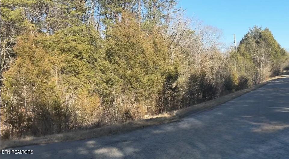 0 Alex Bales Road Kodak, TN 37764 - Photo 2 of 6 IMG_2009