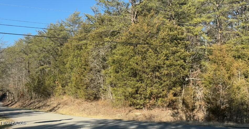 0 Alex Bales Road Kodak, TN 37764 - Photo 6 of 6 IMG_2008