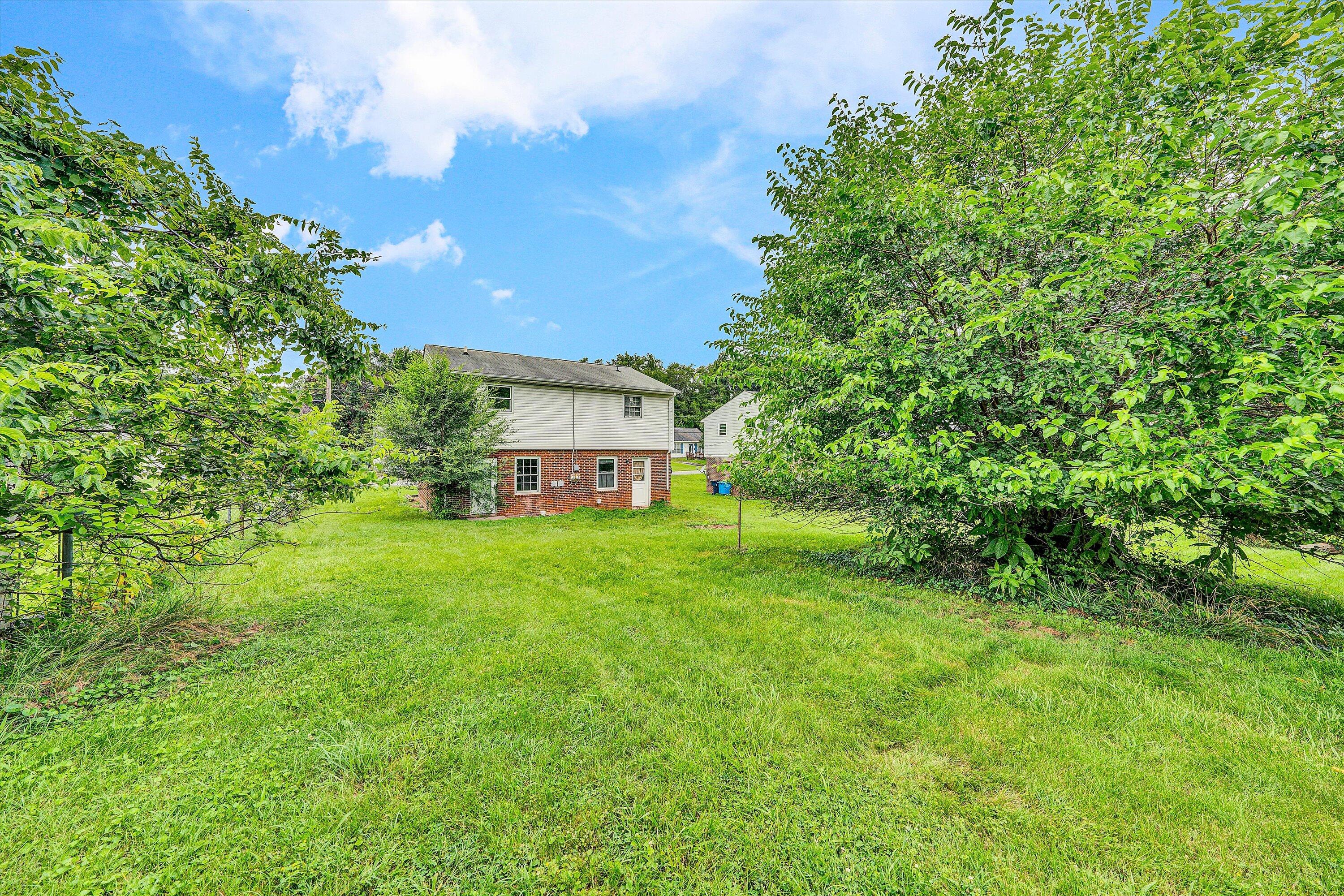 707 Bibb Street Northeast Roanoke, VA 24012 - Photo 23 of 24 23-DSC08673