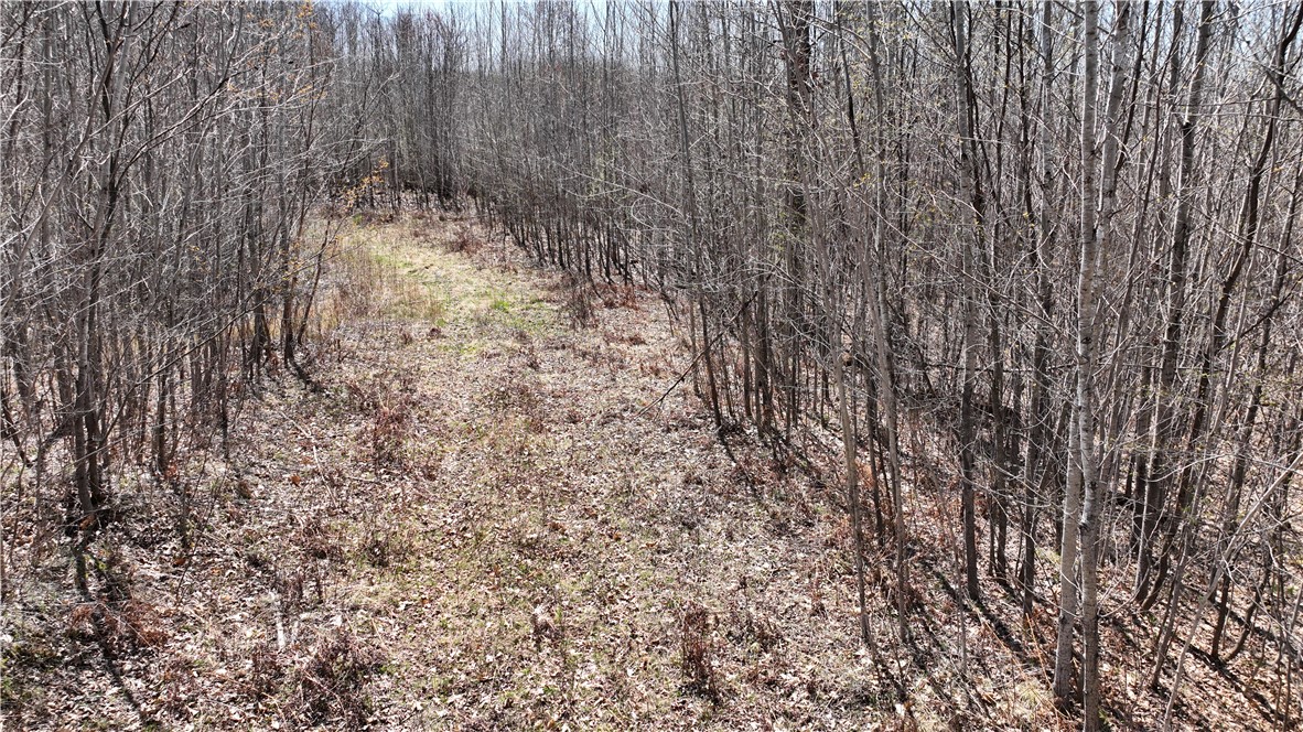 Xx East Beauregard Lake Road Solon Springs, WI 54873 - Photo 27 of 37