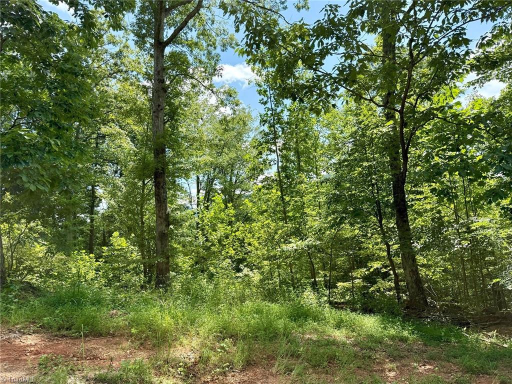 Tbd Tbd Price Road Moravian Falls, NC 28654 - Photo 2 of 9