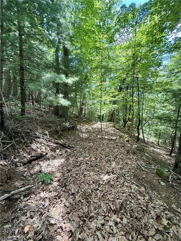 Tbd Tbd Price Road Moravian Falls, NC 28654 - Photo 3 of 9