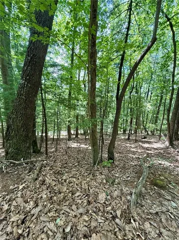 $29,900 | Tbd Tbd Price Road, Moravian Falls, NC 28654