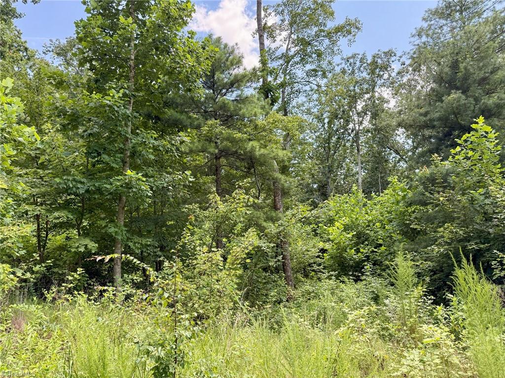 Tbd Tbd Price Road Moravian Falls, NC 28654 - Photo 8 of 9