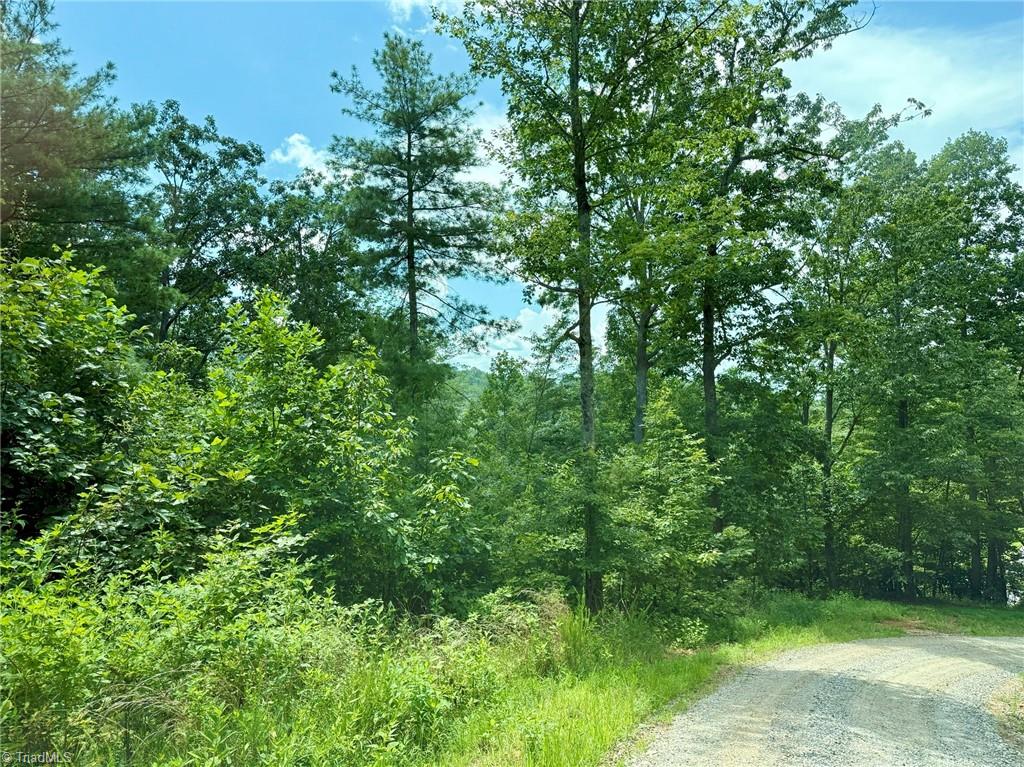 Tbd Tbd Price Road Moravian Falls, NC 28654 - Photo 9 of 9