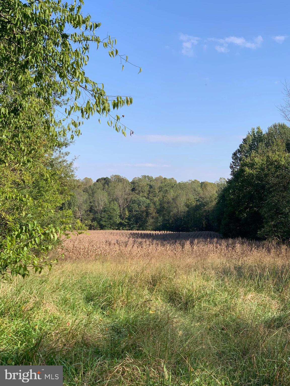 0 Pottiesville Road Bumpass, VA 23024 - Photo 1 of 6 View Looking Towards Rock Creek At Rear