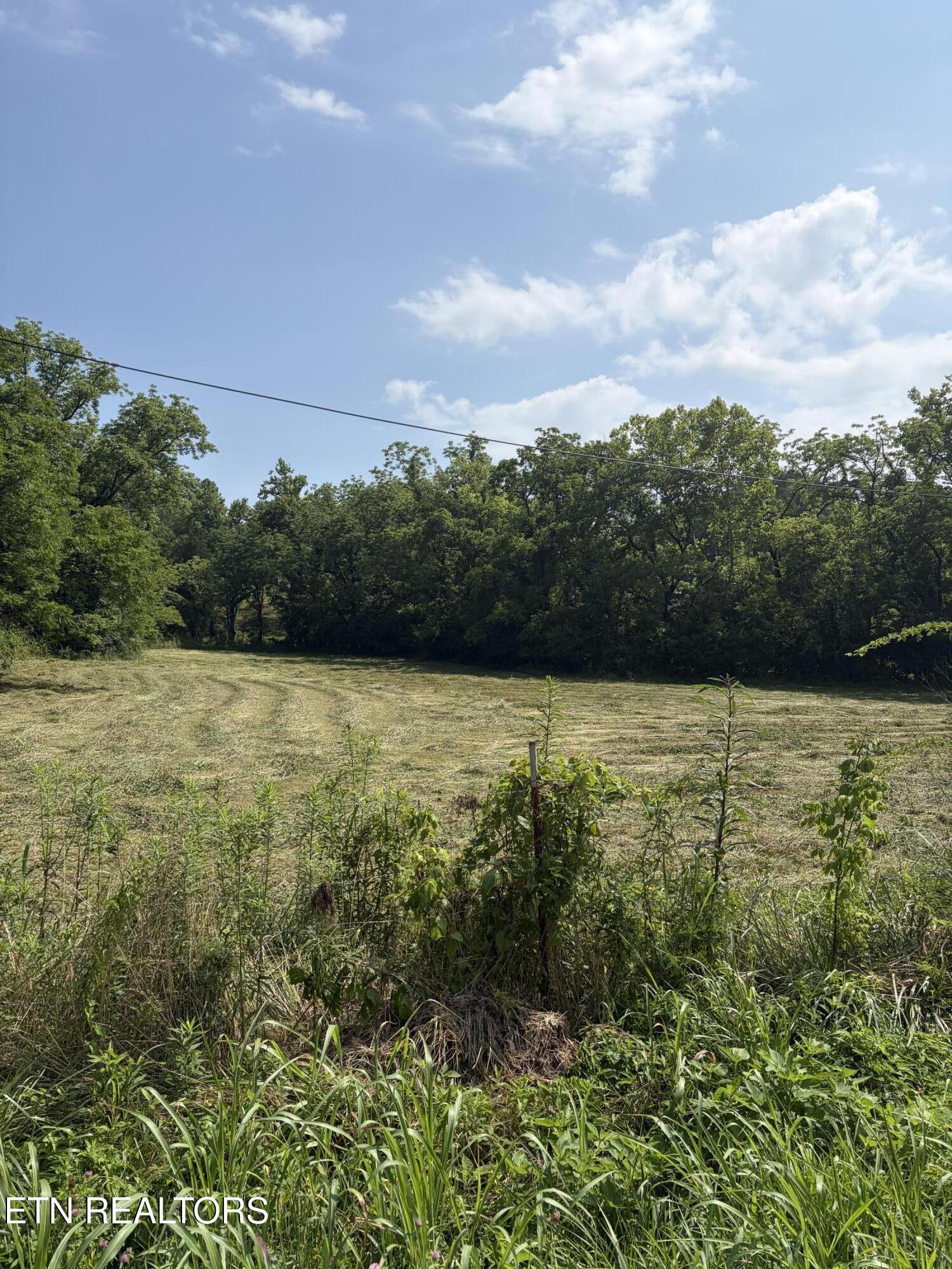 0 Kodak Road Knoxville, TN 37914 - Photo 3 of 6 IMG_3929