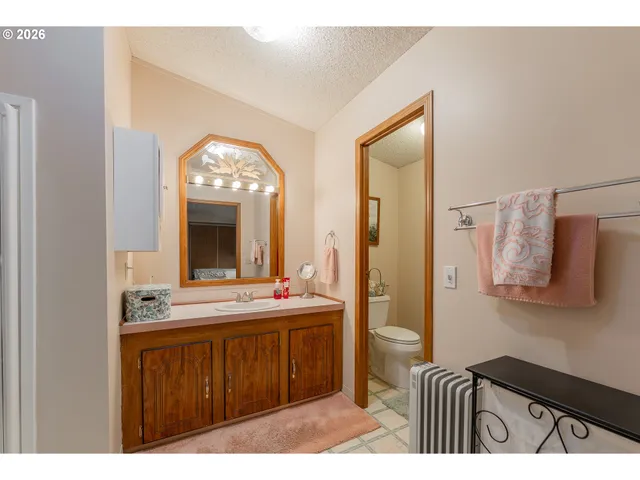 a bathroom with a sink a toilet a mirror and shower