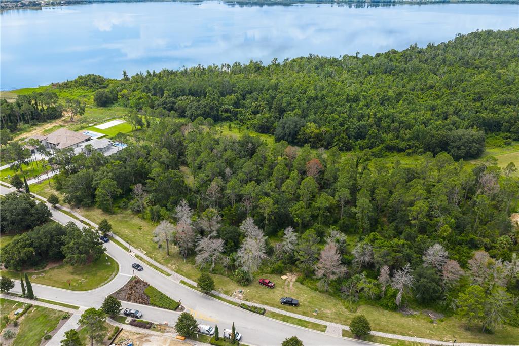 16015 Pendio Drive Montverde, FL 34756 - Photo 2 of 11 a view of a forest with a yard