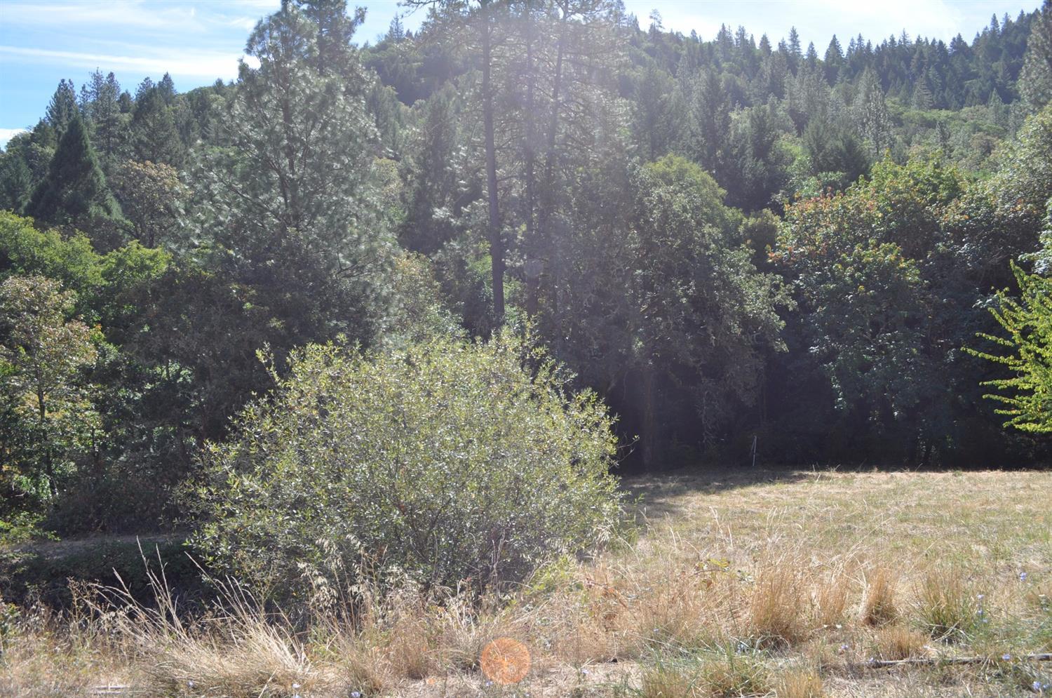 635 Schiefflin Gulch Road Gold Hill, OR 97525 - Photo 3 of 7 Additional Photo