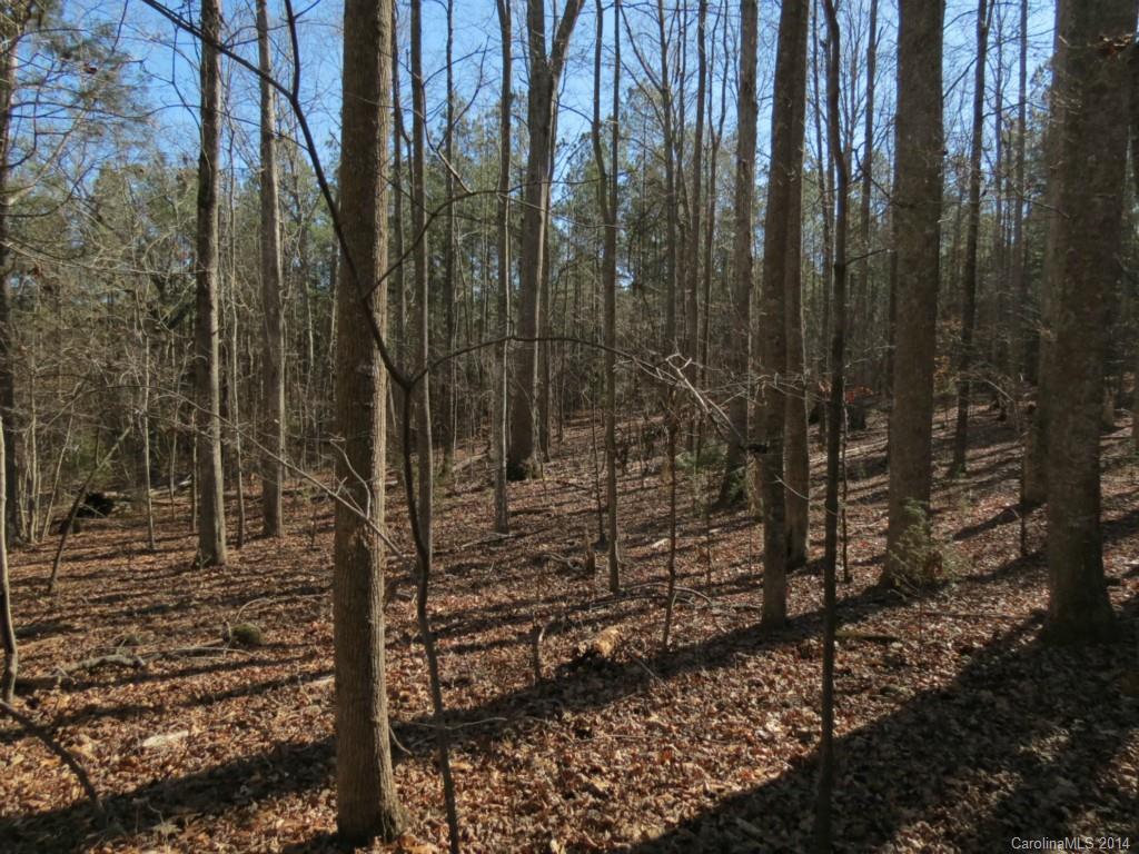 7-ac Wycoff Road, Unit 3 5 AC Sharon, SC 29742 - Photo 11 of 14