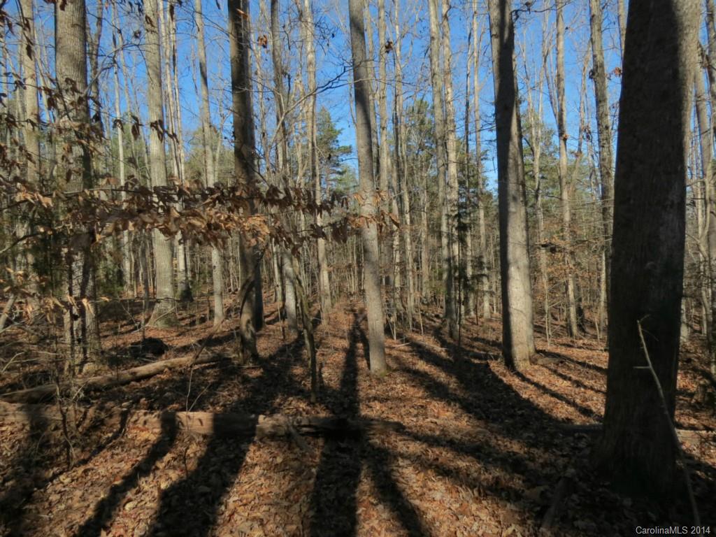 7-ac Wycoff Road, Unit 3 5 AC Sharon, SC 29742 - Photo 12 of 14