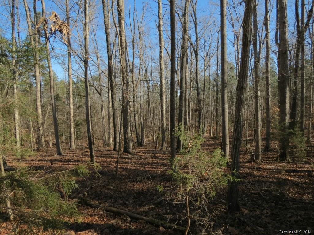 7-ac Wycoff Road, Unit 3 5 AC Sharon, SC 29742 - Photo 13 of 14