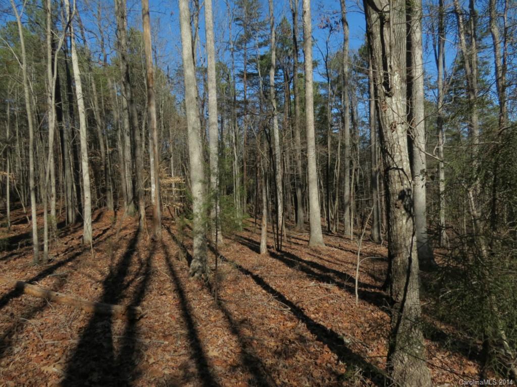 7-ac Wycoff Road, Unit 3 5 AC Sharon, SC 29742 - Photo 3 of 14