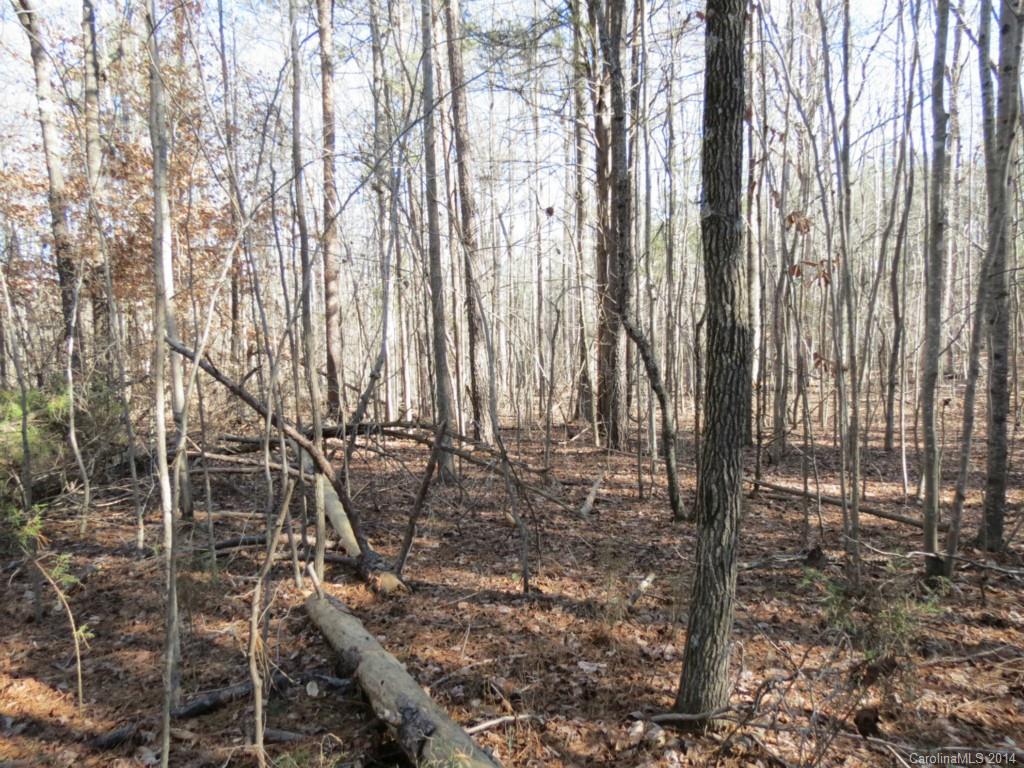 7-ac Wycoff Road, Unit 3 5 AC Sharon, SC 29742 - Photo 4 of 14