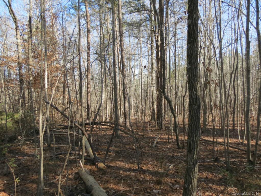 7-ac Wycoff Road, Unit 3 5 AC Sharon, SC 29742 - Photo 5 of 14
