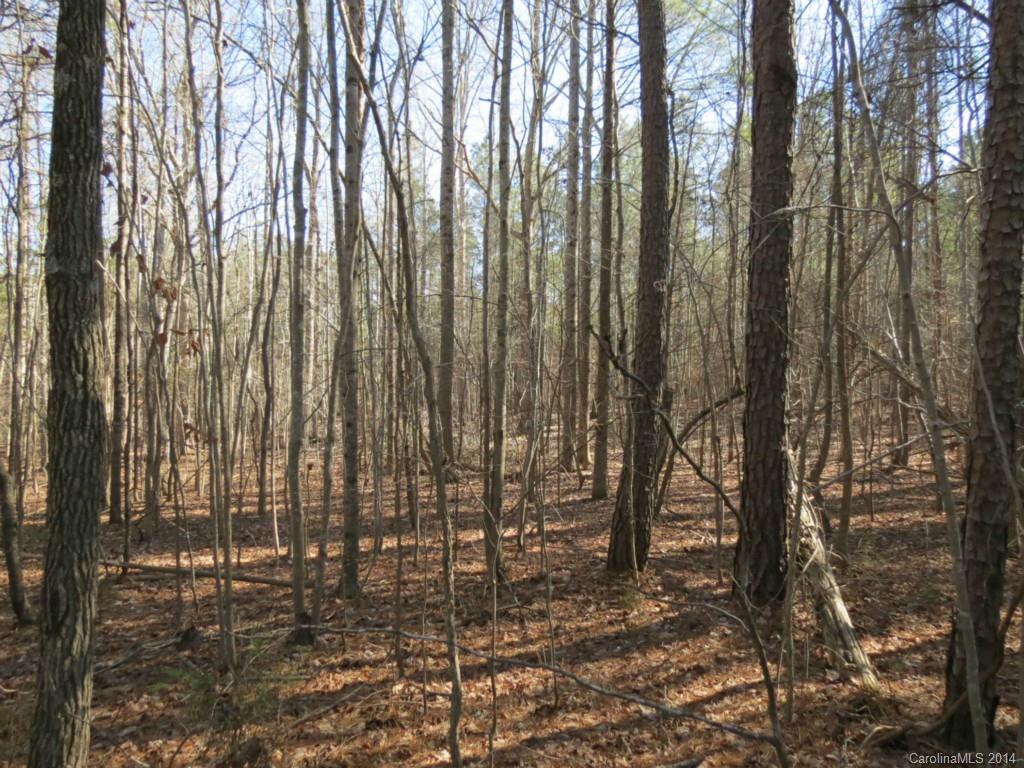 7-ac Wycoff Road, Unit 3 5 AC Sharon, SC 29742 - Photo 6 of 14