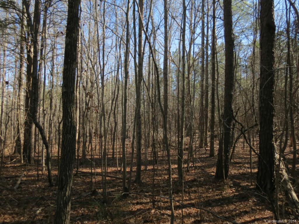 7-ac Wycoff Road, Unit 3 5 AC Sharon, SC 29742 - Photo 7 of 14