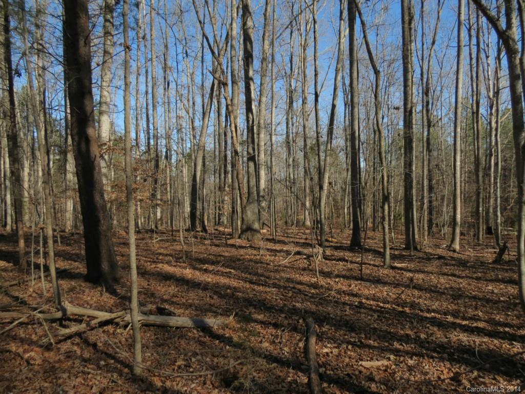 7-ac Wycoff Road, Unit 3 5 AC Sharon, SC 29742 - Photo 8 of 14