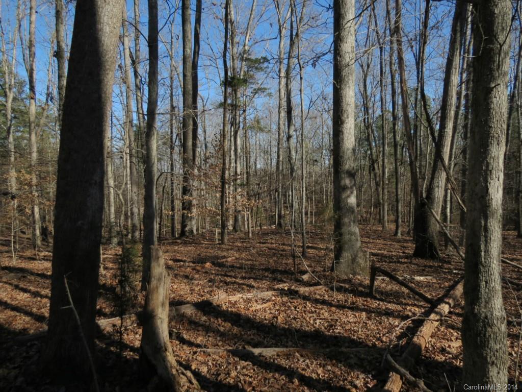 7-ac Wycoff Road, Unit 3 5 AC Sharon, SC 29742 - Photo 10 of 14