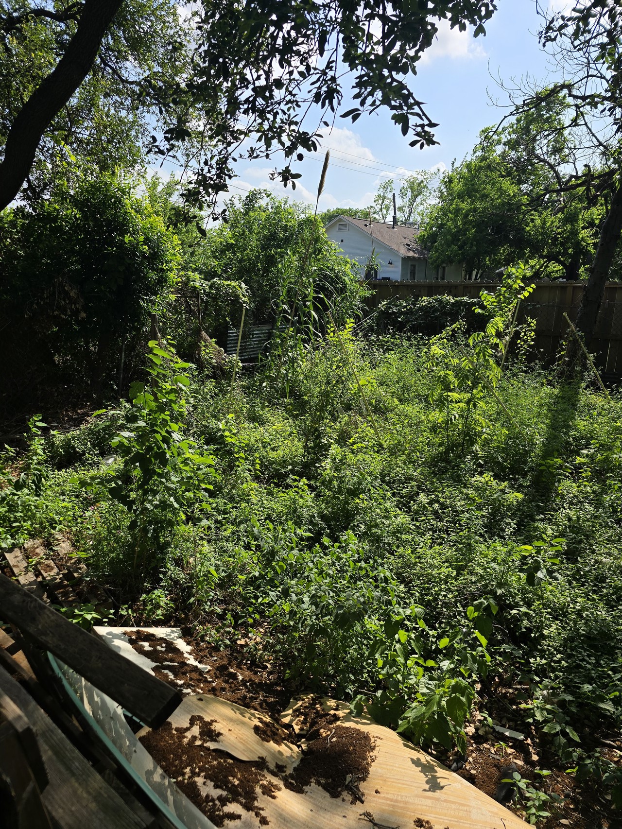 2305 Elysian Street Houston, TX 77026 - Photo 8 of 12 a view of a backyard of the house