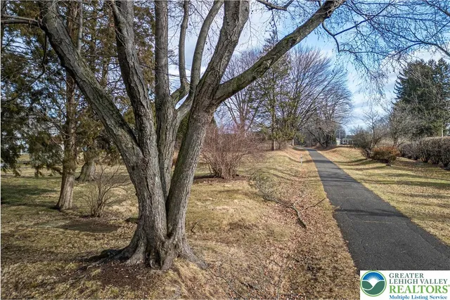 a view of a yard with trees