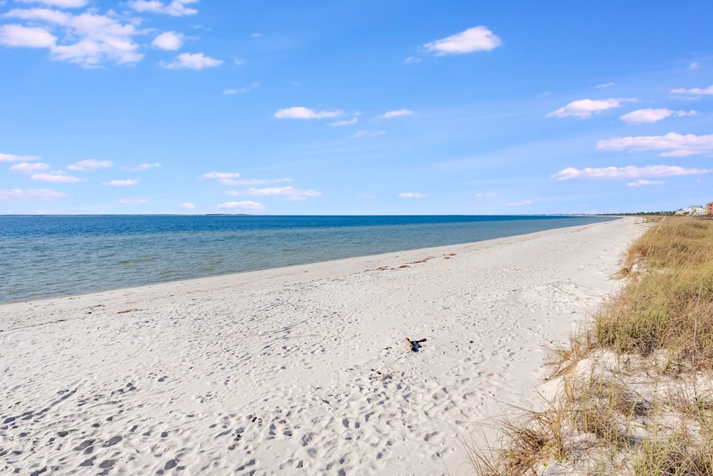 736 Backwater Road Port St. Joe, FL 32456 - Photo 89 of 90