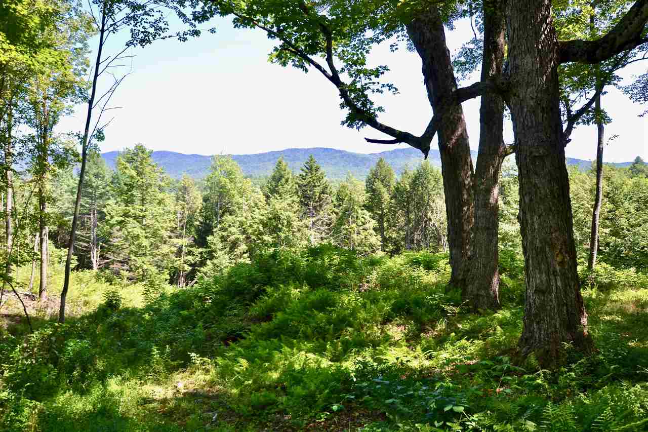 Lot 8 Guptil Road, Unit 8 Waterbury Center, VT 05677 - Photo 16 of 20 Gallery Image 16