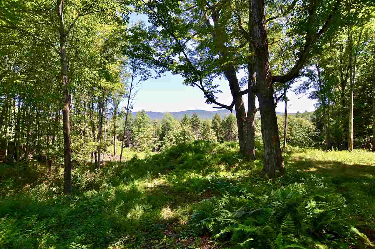 Lot 8 Guptil Road, Unit 8 Waterbury Center, VT 05677 - Photo 20 of 20 Gallery Image 20